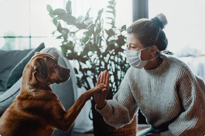 ¿Cómo cuidar a tu perro durante la pandemia?