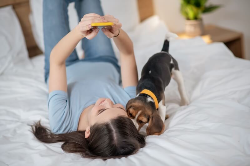 beneficios tener perro